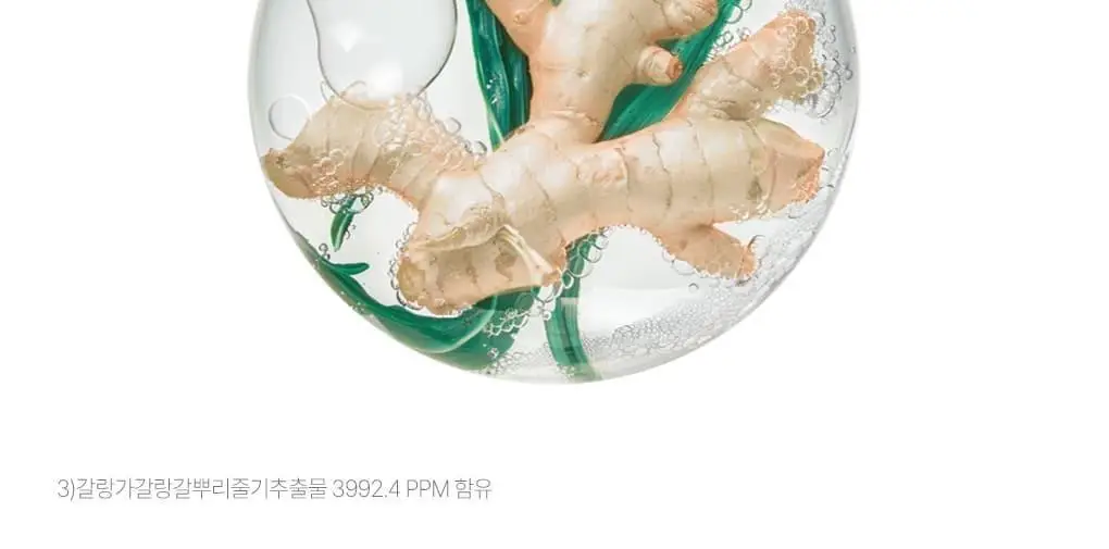 [지루성두피&가려움케어] 클로란 갈랑가 진저 비듬샴푸400ml 상세페이지 10